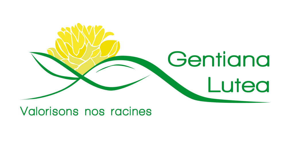 Association Gentiana Lutea