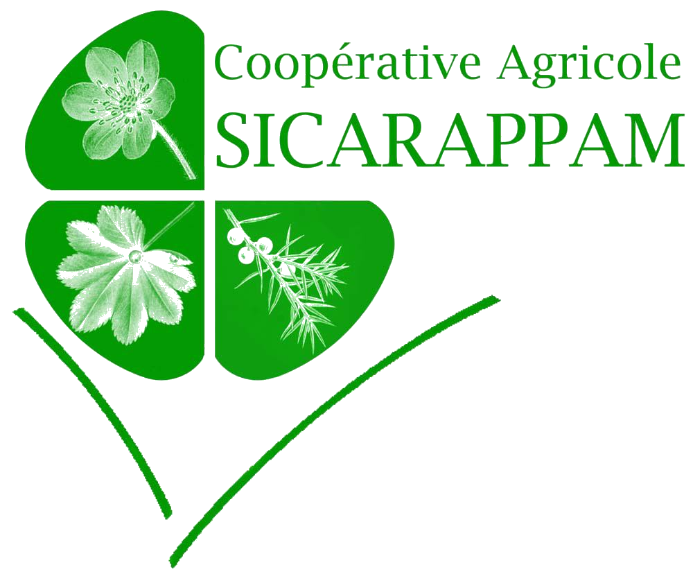 Logo SICARAPPAM - Gentiana Lutea